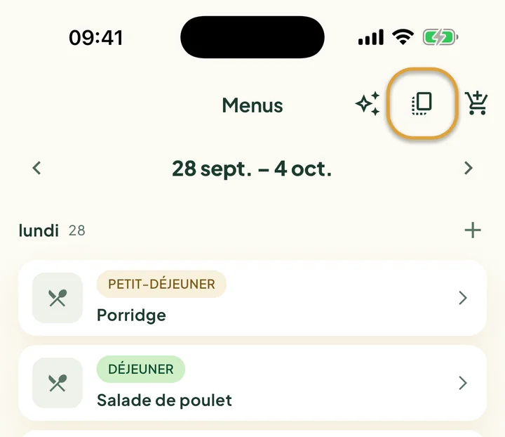 Le haut des Menus. Le bouton de copie à côté du caddie est entouré.