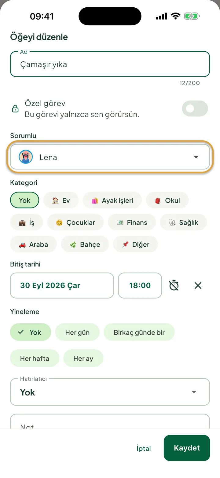 Bir görev için öğe düzenleme paneli. Lena olarak ayarlanmış Sorumlu alanı daire içine alınmış.